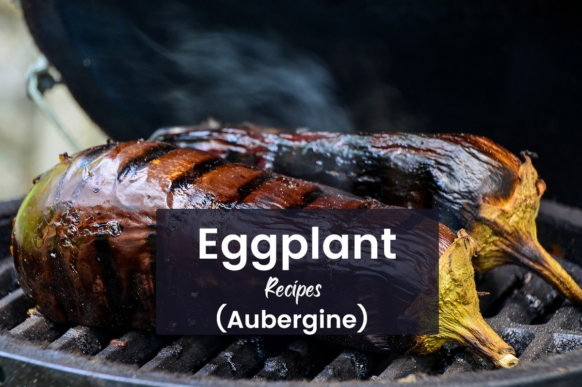 Eggplant Recipes, Aubergine Recipes