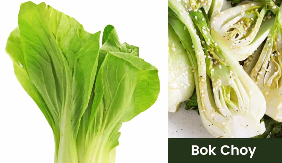 Bok Choy