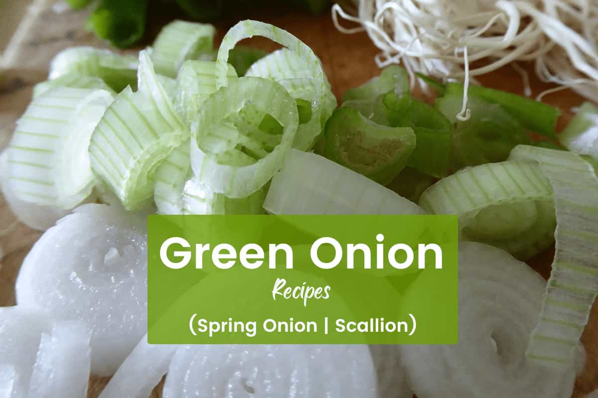 25+ Green Onion Recipes (Scallion, Spring Onion): Fried, Rolls, Soups, Salads & More