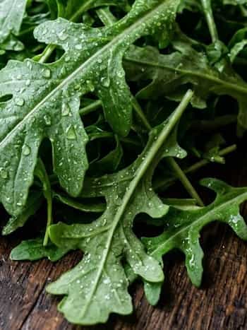 Arugula (Rocket)