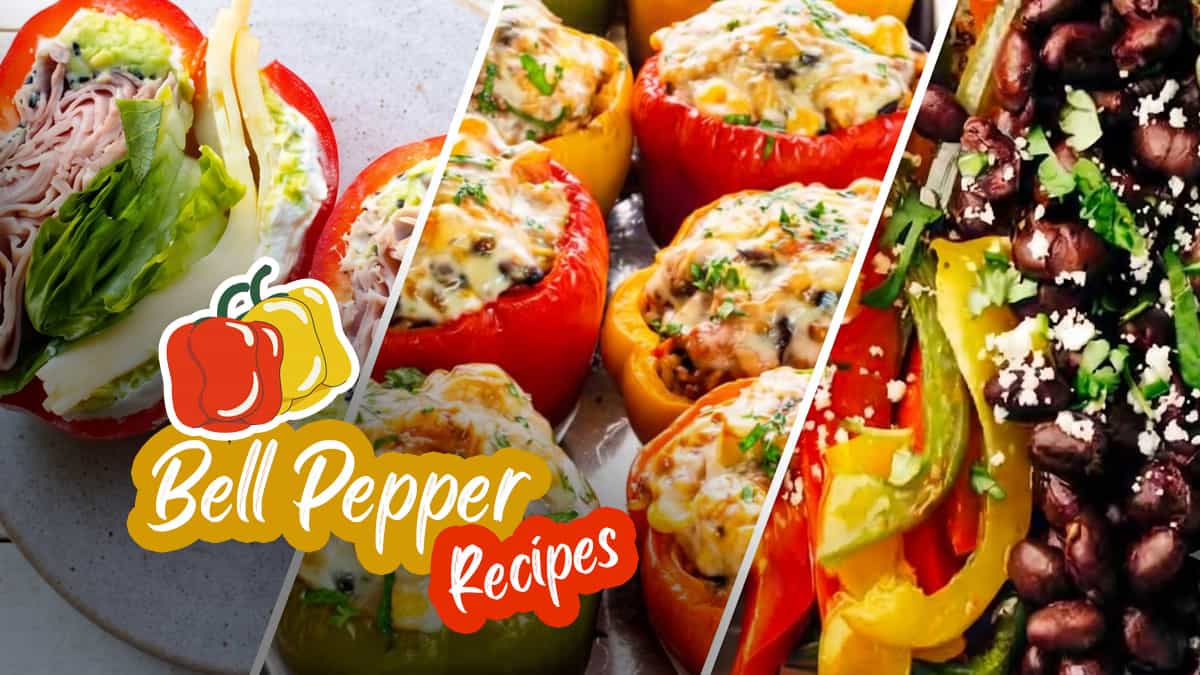 bell peppers recipe and stuffed peppers recipe