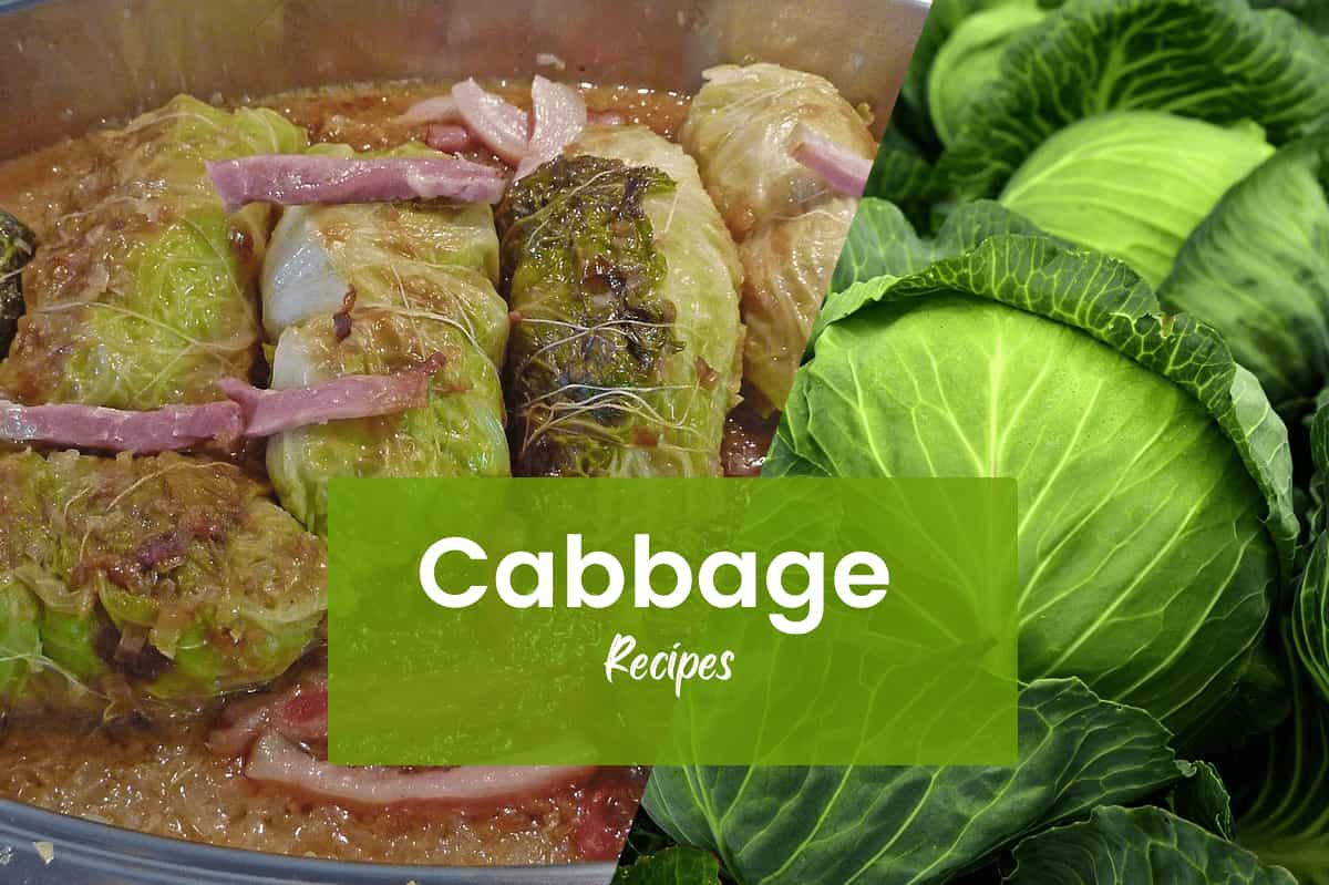 Cabbage Recipes: Curries, Soups, Fritters, Pakoda and more