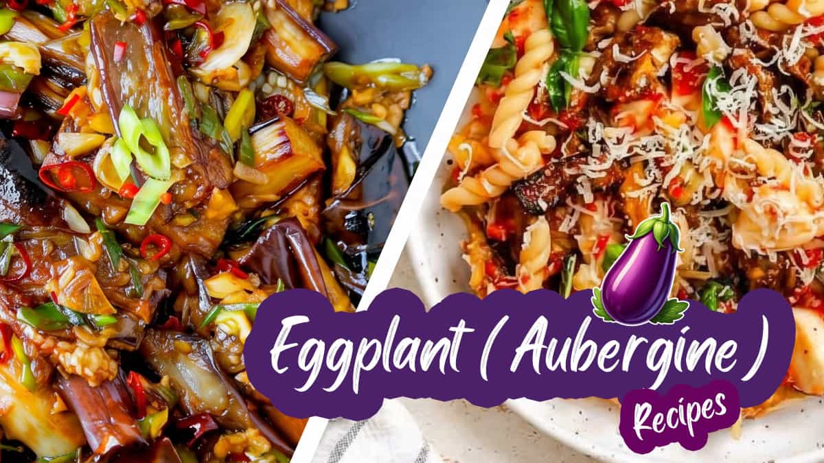 eggplant recipes