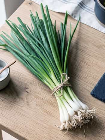 Green Onion (Scallions, Spring Onion)
