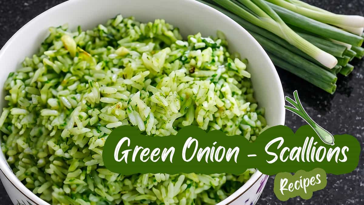 Green Onion Scallions Recipes List