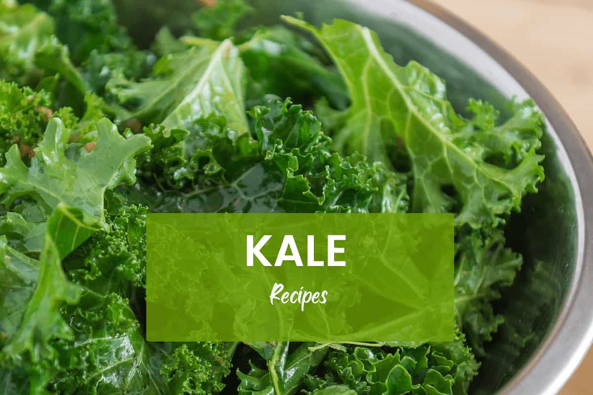 25+ Kale Recipes: Curry, Soup, Salad, Fritters, Stir-Fry, Smoothies, Quiche, and more