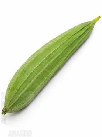 Ridge Gourd (Luffa acutangula)