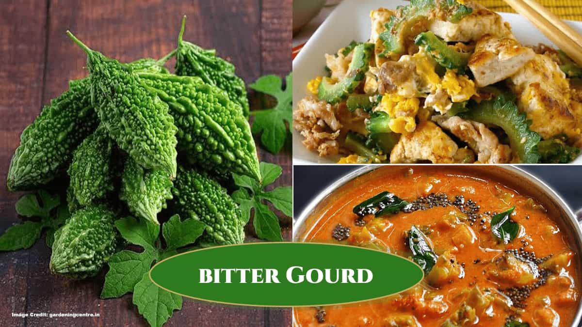 Bitter Gourd: Stir-Fries, Curries, Chips & Bold-Flavored Dishes (Momordica Charantia)