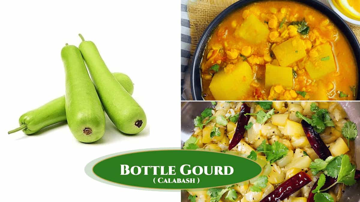 Calabash - Bottle gourd recipes including curry and sautéed dishes