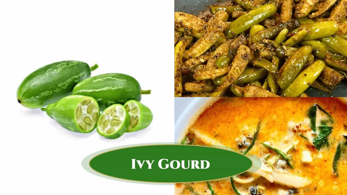 Ivy gourd recipes including curry and stir fry dishes