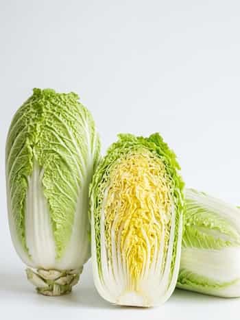 Napa Cabbage (Chinese Cabbage)