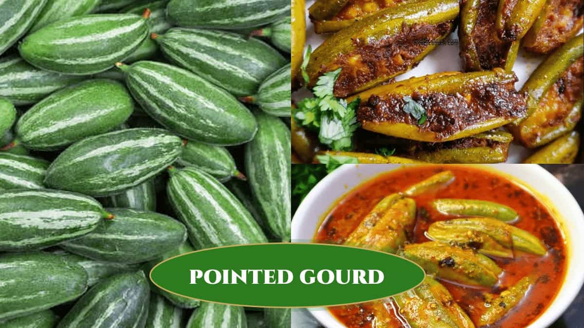 Pointed gourd recipes including curry and stuffed dishes