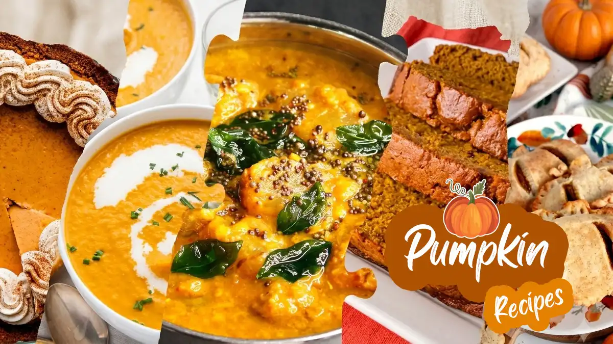 125+ pumpkin recipes including pumpkin pie recipe, pumpkin bread recipe, creamy pumpkin soup recipe, pumpkin loaf recipe, cheesecake, pumpkin puree, cookies, and pumpkin spice latte.