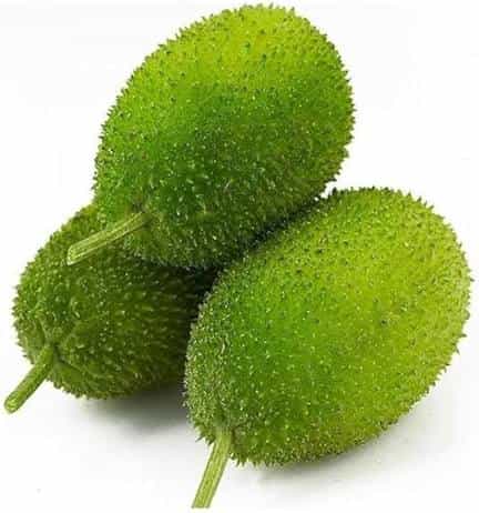 Spiny Gourd Vegetable