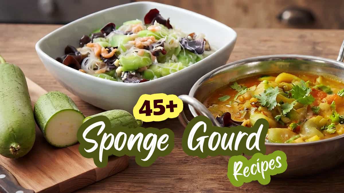 sponge-gourd-recipes