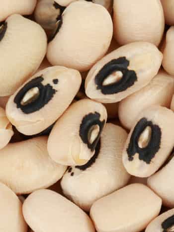 Black Eyed Beans