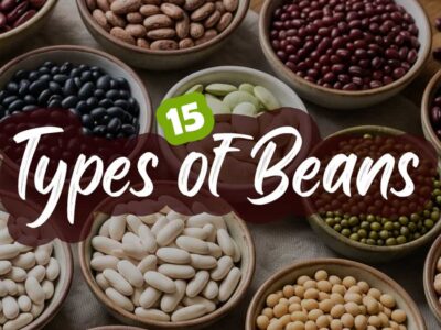 15 Types of Beans: Soak Time & How to Use Them