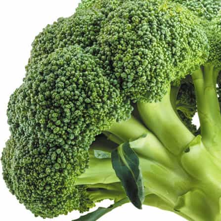 Broccoli-high-antioxidants-veg