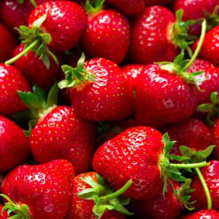Strawberries-high-antioxidants-fruit