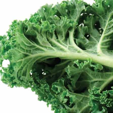 kale-high-antioxidants