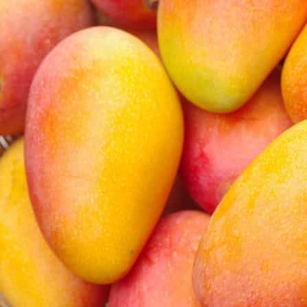 mango-high-antioxidants-fruit