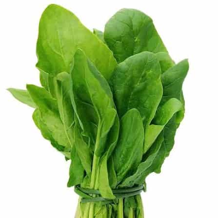spinach-high-antioxidants-leafy-veg